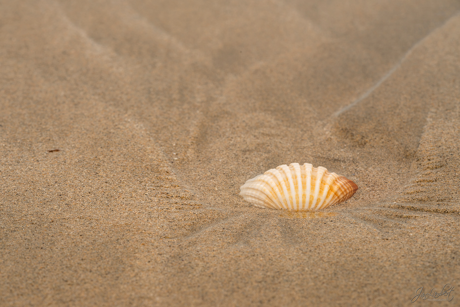 foto hartschelp in het zand - Jan Lambert Photography
